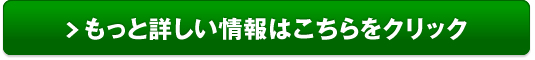 Xiفu`v()̔TCg